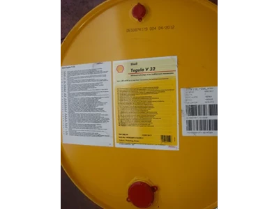 Shell Tegula V 32