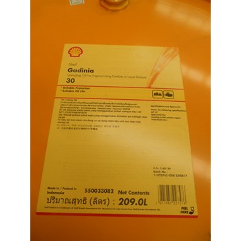 SHELL GADINIA 30